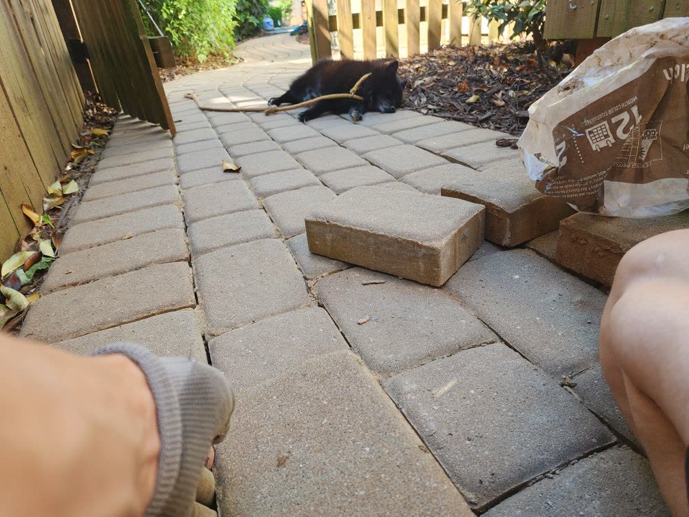 Linux the dog supervising patio work